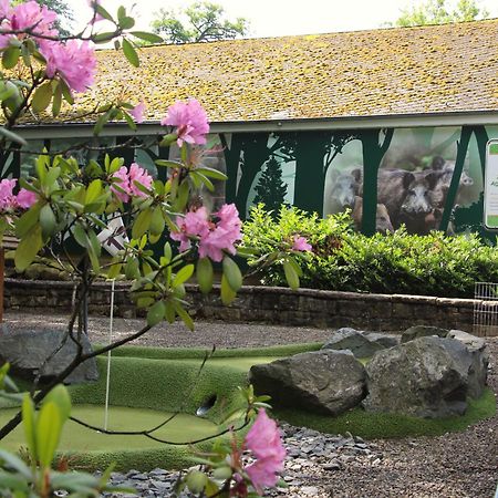 Regiohotel Germania Am Kurpark บัดฮาร์ซบวร์ก ภายนอก รูปภาพ