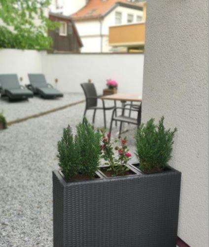 Regiohotel Germania Am Kurpark บัดฮาร์ซบวร์ก ภายนอก รูปภาพ