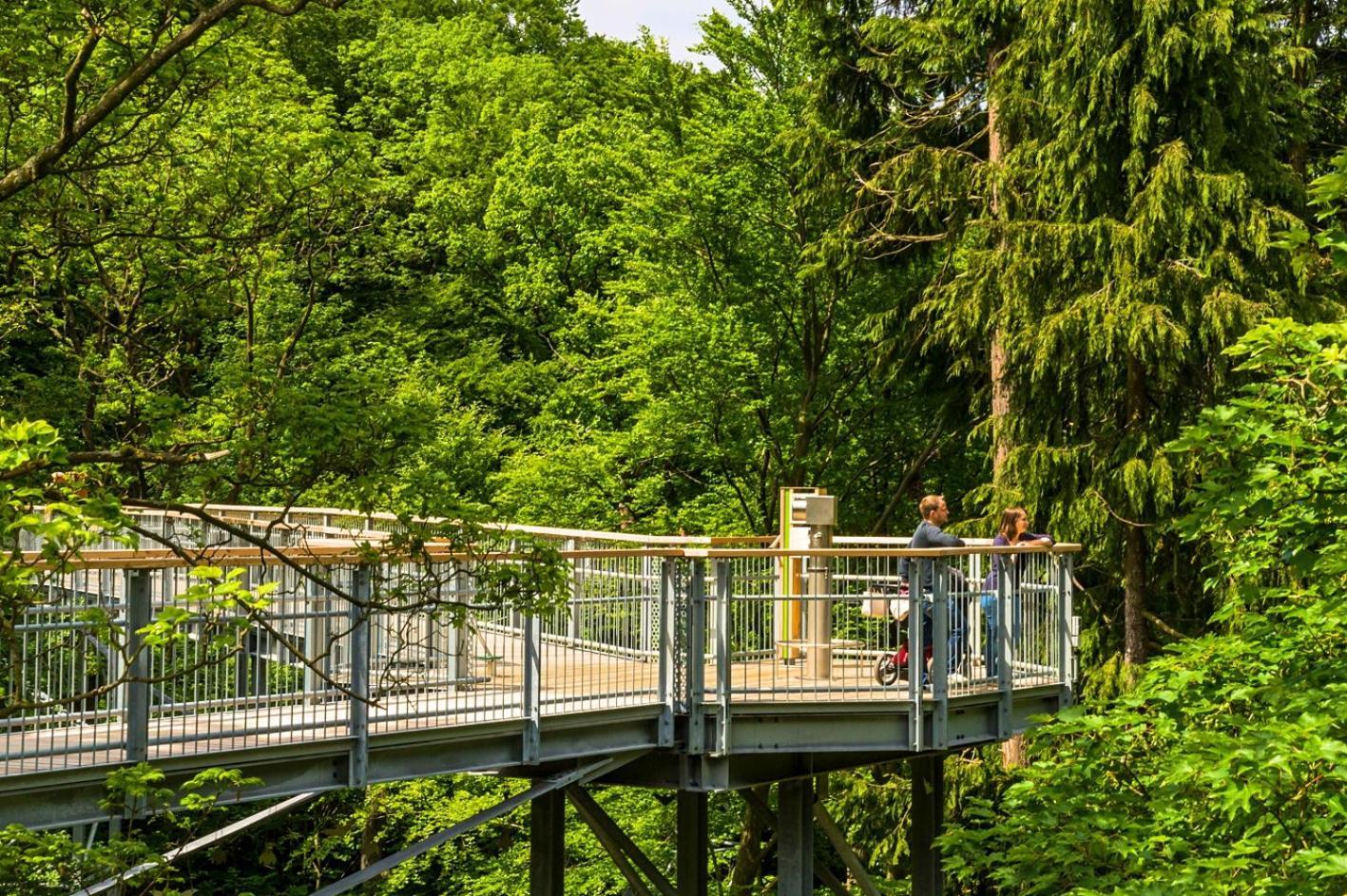 Regiohotel Germania Am Kurpark บัดฮาร์ซบวร์ก ภายนอก รูปภาพ